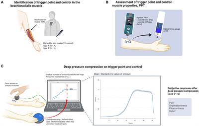 Sensory and emotional responses to deep pressure stimulation at myofascial trigger points: a pilot study